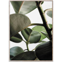 Green Home 03 poster 50x70