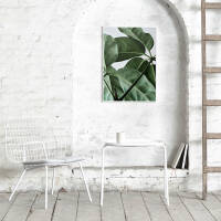 Green Home 01 poster 70x100